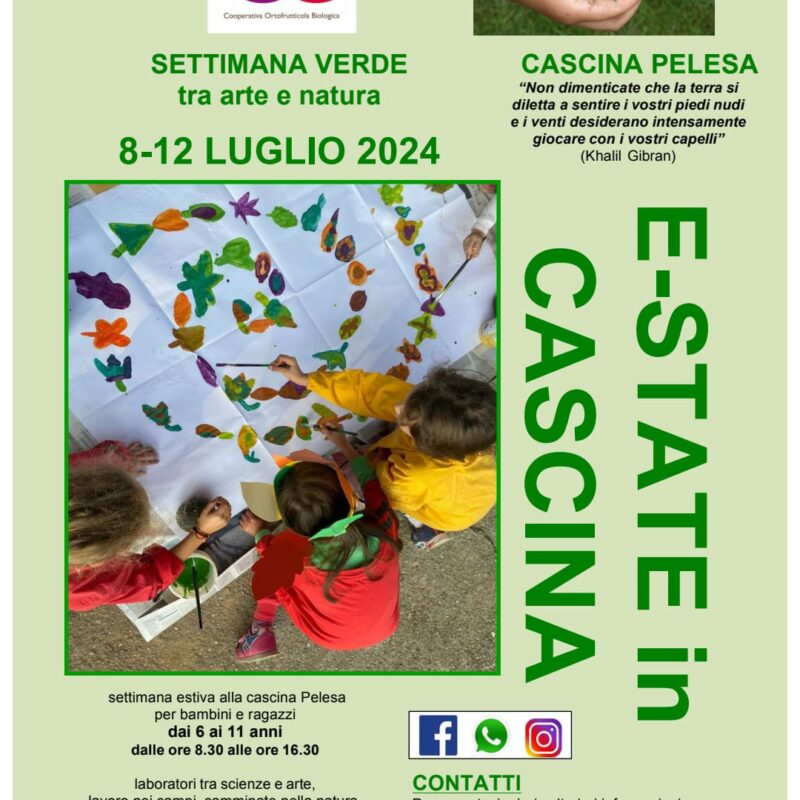 CASTEL CERRETO SOCIETA' COOPERATIVA AGRICOLA IN BREVE CASTEL CERRETO S.C. AGRICOLA — foto 2
